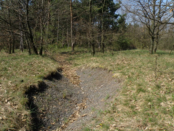 Lomené zákopy v katastri Horných Orešian chránili vojenské objekty v priľahlých lesoch.