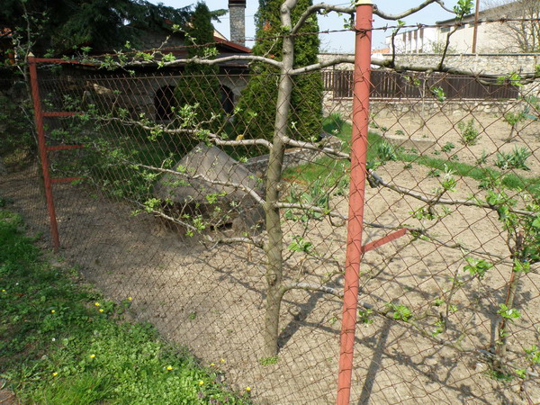 Pozorovací a strážny objekt typu Einmannbunker v katastri Grinavy na mieste bývalého zajateckého tábora. Dnes je sekundárne využitý na záhrade rodinného domu.