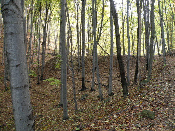 Halda štôlne.